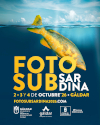 Cartel