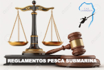 Reglamento