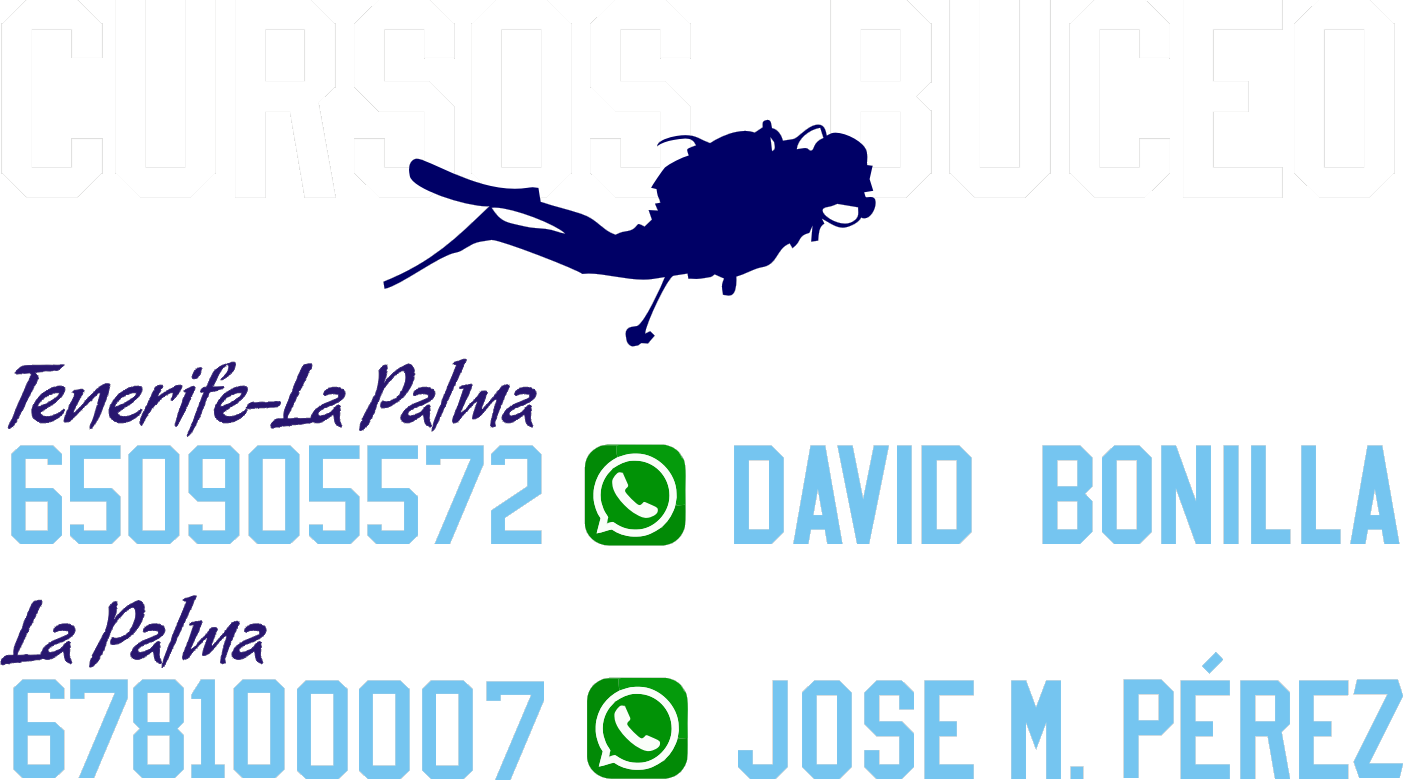Cursos Buceo
