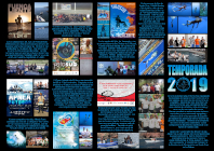 Cartel