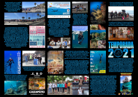 Cartel
