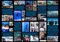 Cartel